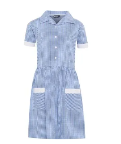 Royal and White Gingham Tie belt Summer Dress