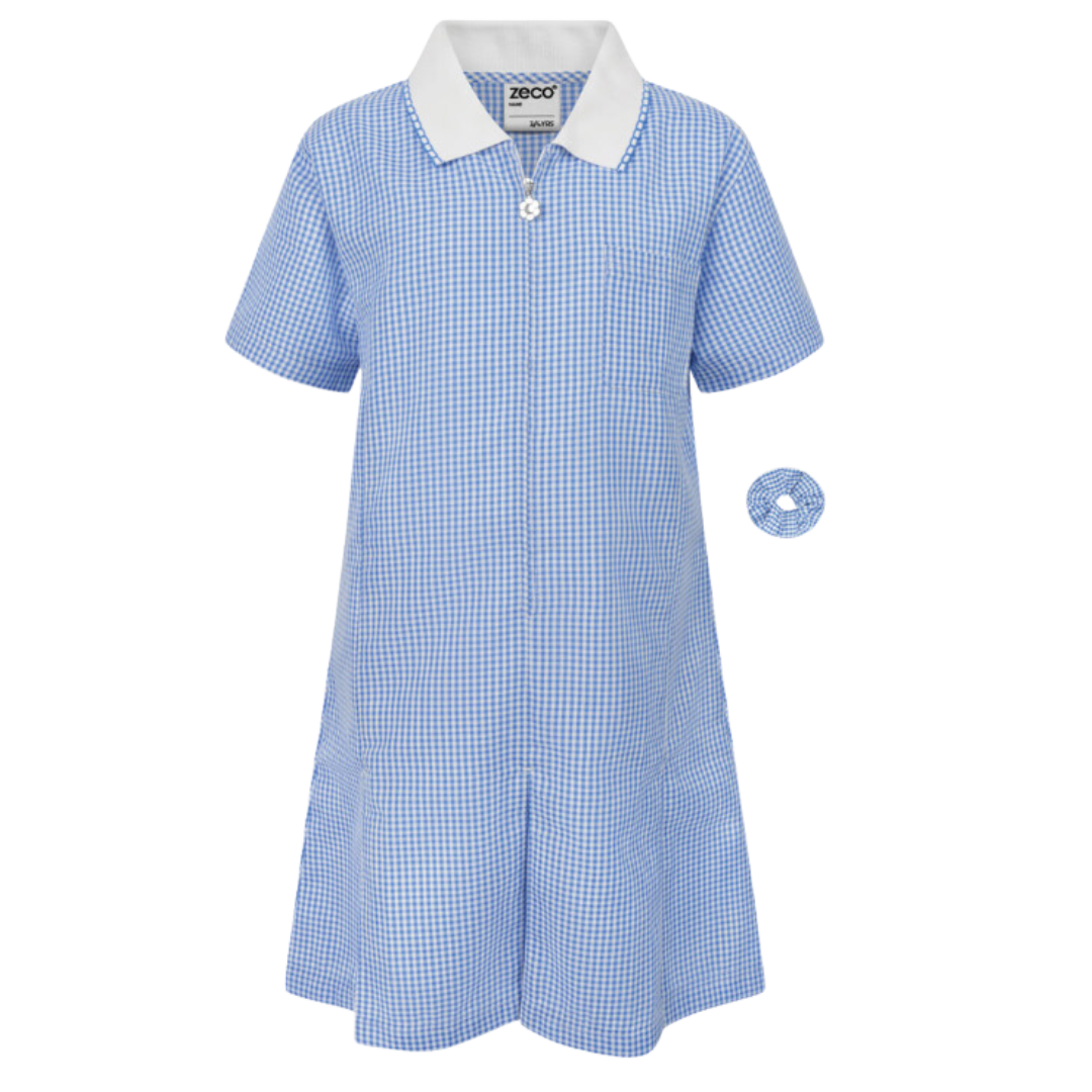 Sky Blue and White Gingham Check Summer Dress